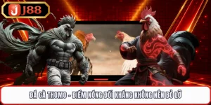 Đá Gà Thomo - Điểm Nóng Đối Kháng Không Nên Bỏ Lỡ 
