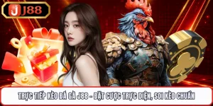Trực Tiếp Kèo Đá Gà J88 - Đặt Cược Trực Diện, Soi Kèo Chuẩn